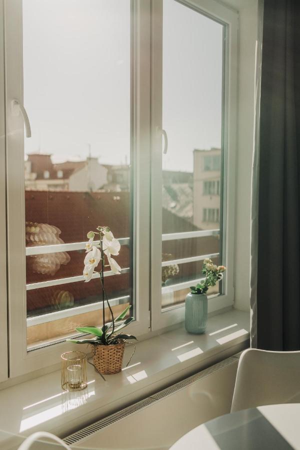 New Equipped Apartment In The City Center Plzeň Eksteriør billede